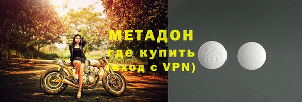 индика Няндома