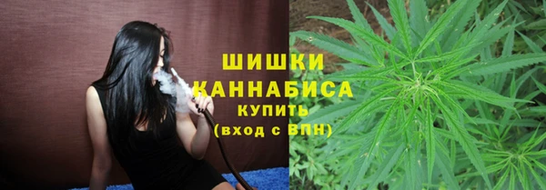 индика Няндома