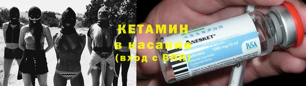 индика Няндома