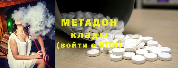 индика Няндома
