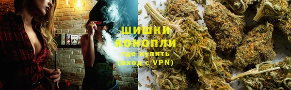 PSILOCYBIN Аркадак