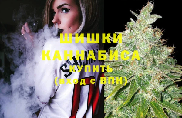 прущие крисы Арсеньев