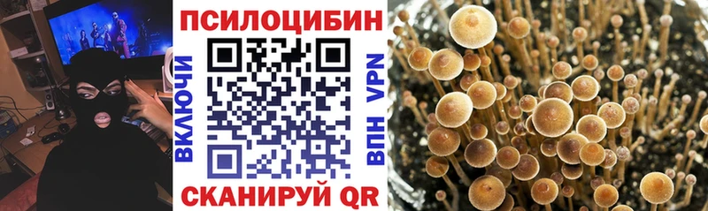 Галлюциногенные грибы MAGIC MUSHROOMS  KRAKEN зеркало  Сокол  закладки 