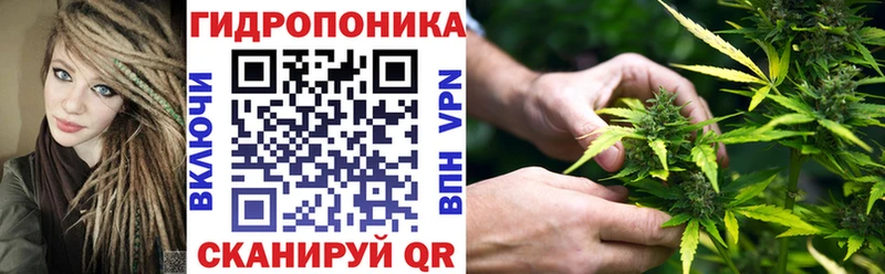 МАРИХУАНА семена  магазин продажи наркотиков  Сокол 